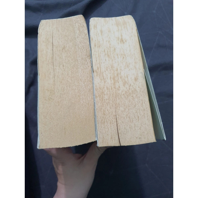 Combo Ván bài lật ngửa 2 tập (đẹp, đủ 2 bookmark) - Nguyễn Trương Thiên Lý 469782