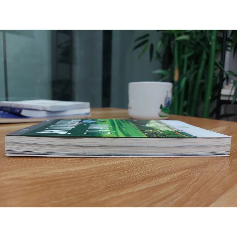 Bánh Bèo Phiêu Lưu Ký – PLOY 539474