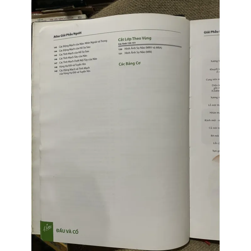 ATLAS GIẢI PHẪU NGƯỜI - FRANK H. NETTER, MD - sách dày, in màu  961602