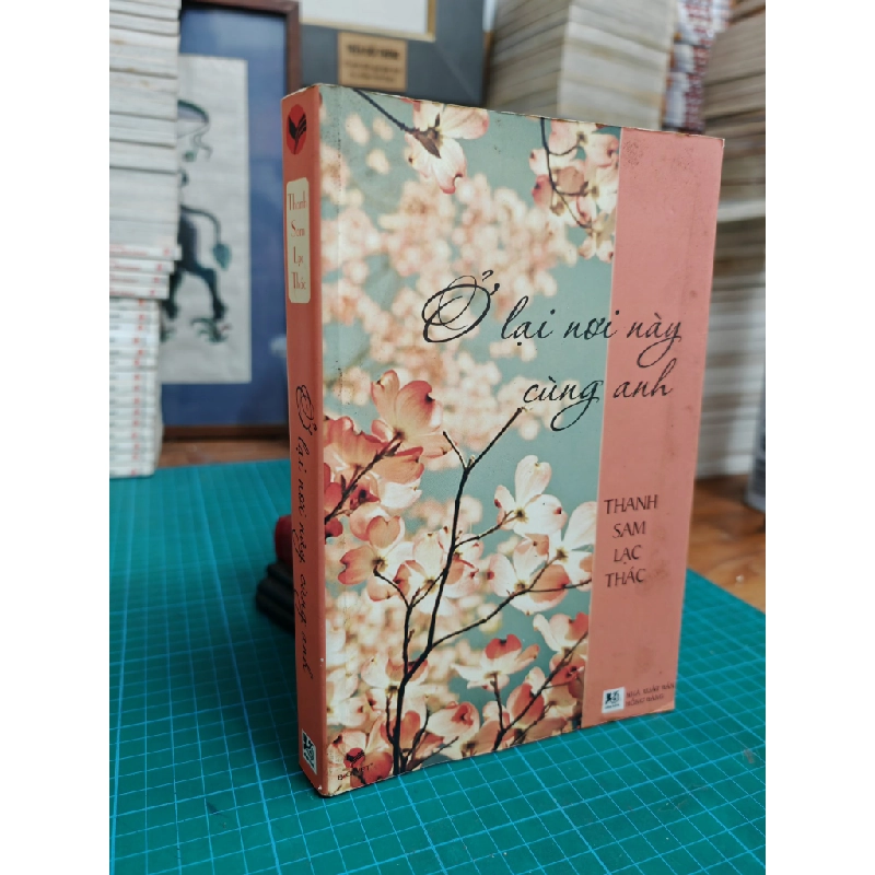 Ở lại nơi này cùng anh - Thanh Sam Lạc Thác 493849