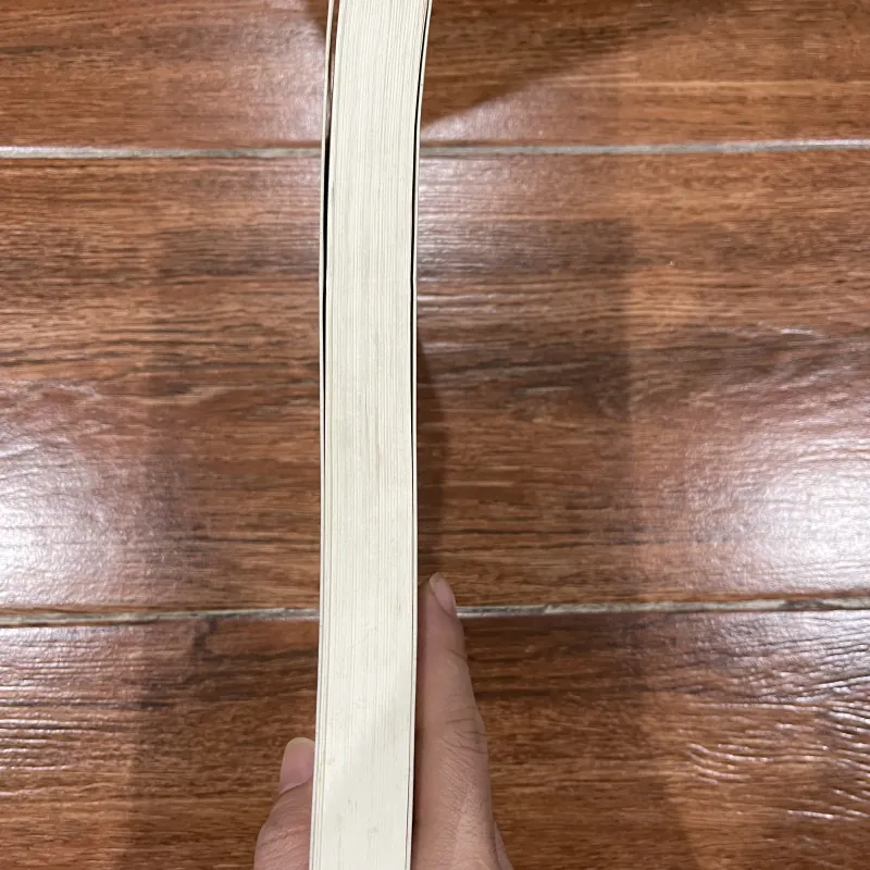 Gió bụi đầy trời - Thiên Sơn  (7) 757361