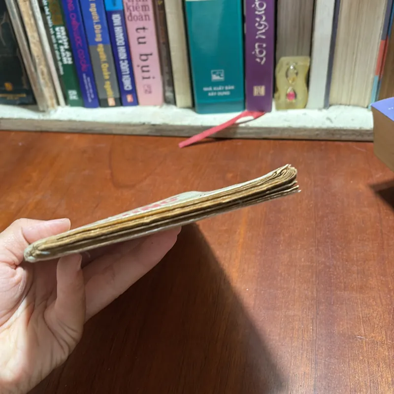 [Thiếu Trang, Sách Tặng Khi Có Đơn] - II Cái Dũng Của Thánh Nhân - Nguyễn Duy Cần 927506