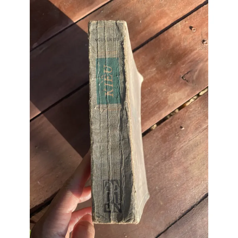 TRUYỆN KIỀU- HÀ HUY GIÁP GIỚI THIỆU NGUYỄN THẠCH GIANG - KHẢO ĐÌNH VÀ CHÚ THÍCH 697514