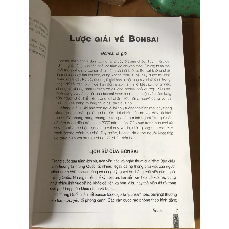 Cẩm nang bonsai 973871