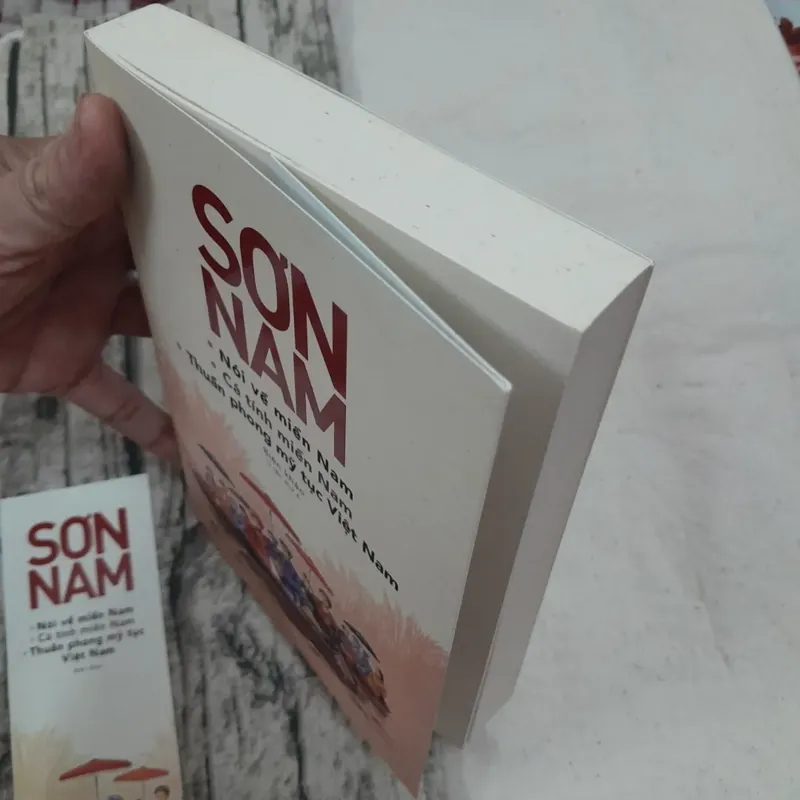 Sơn Nam Nói về miền Nam và Thuần phong Mỹ tục Việt Nam 589223