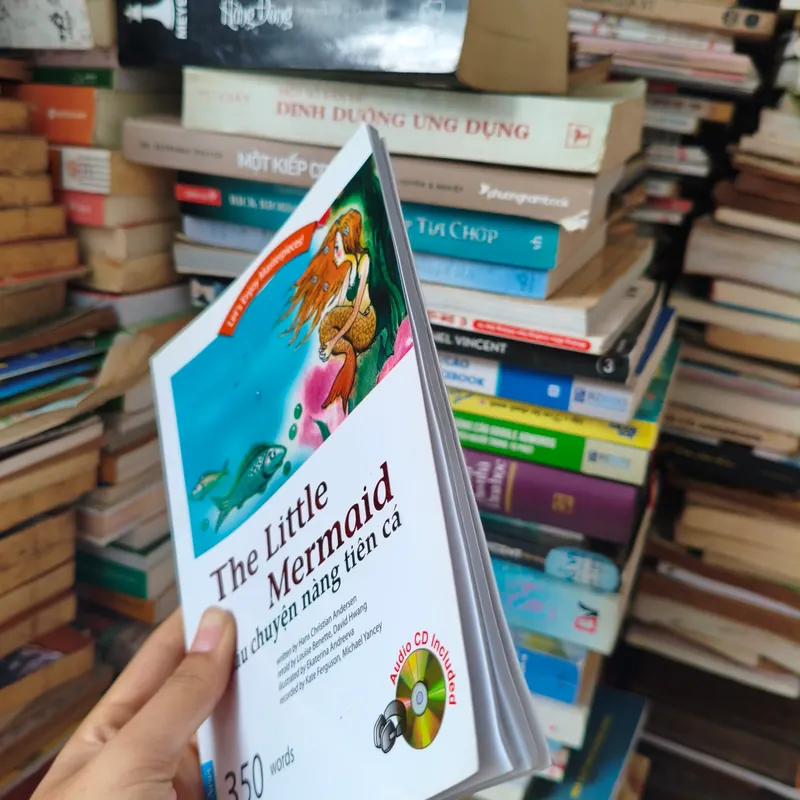 Câu chuyện nàng tiên cá tiếng anh 🌱 563996