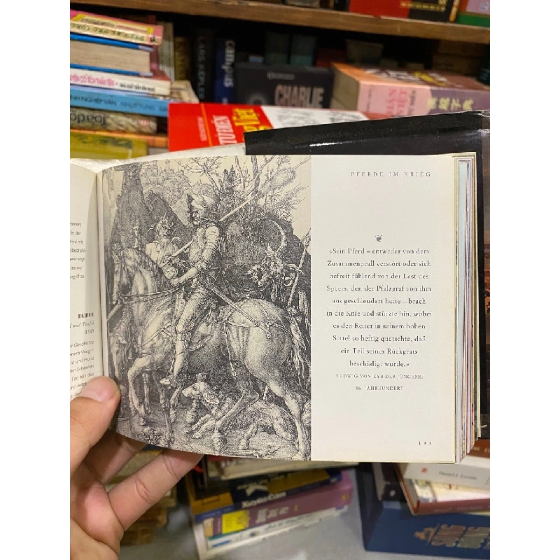 Pferde in Kunst, Fotografie und Literatur - Lorraine Harrison 926651