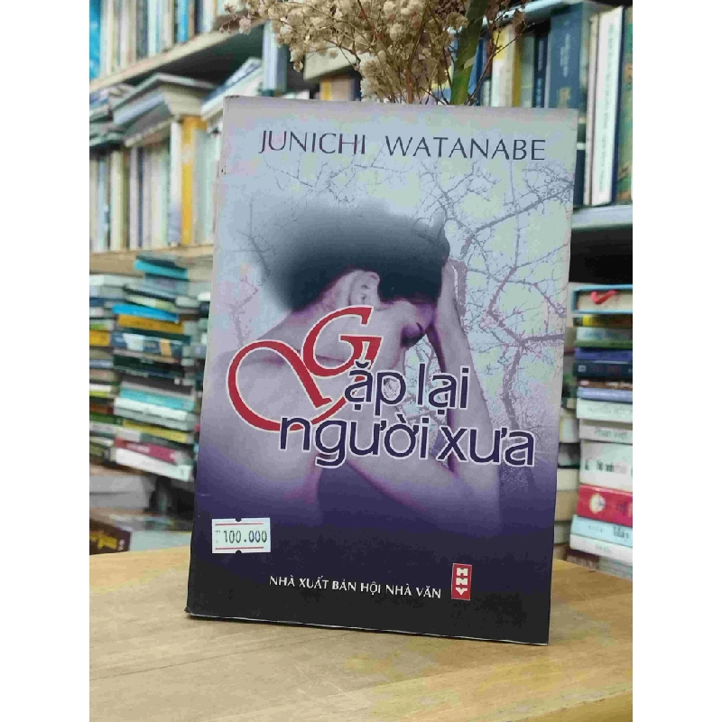 Gặp Lại Người Xưa - Junichi Watanabe 127566