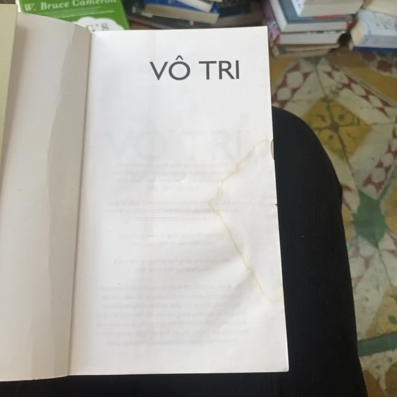 Vô Tri - Milan Kundera 709469