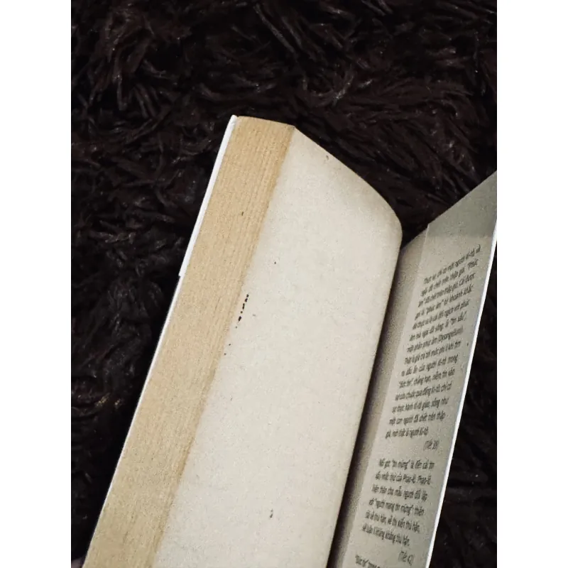 Kẻ phản Kito 993242