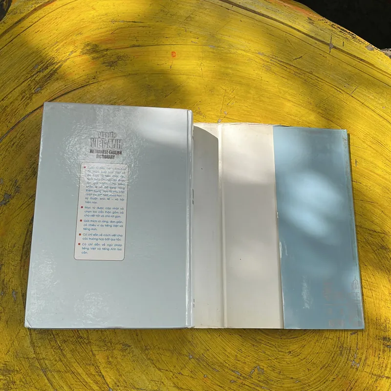 TỪ ĐIỂN VIỆT - ANH- VIỆN NGÔN NGỮ HỌC 604689