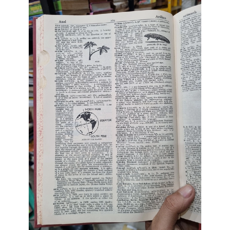 Webster's New World Dictionary of the American Language - College Edition 448786