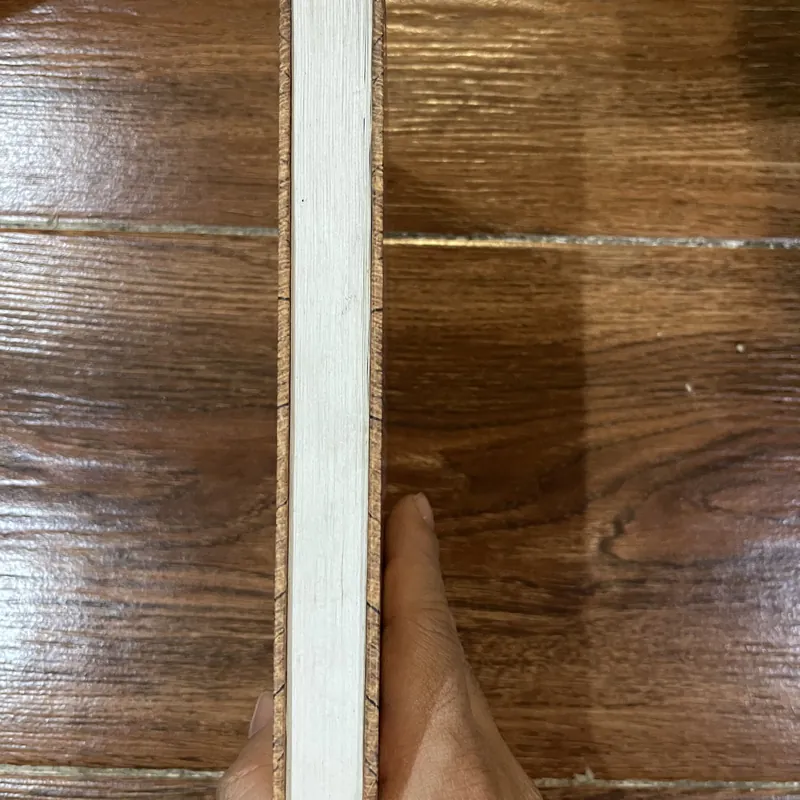 5 truyện hay nhất Stefan Zweig (6) 735011