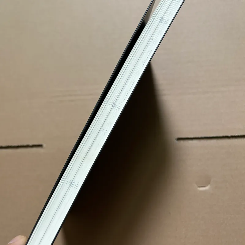 Đặc quyền của gái hư - Kara King 708752