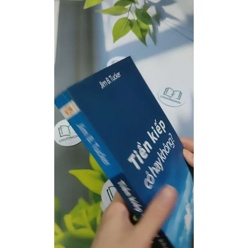 Tiền Kiếp - Có Hay Không? 705673