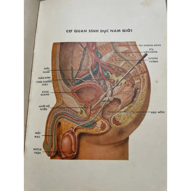 BỆNH SUYỄN - SÁCH Y KHOA TRƯỚC 75 572912