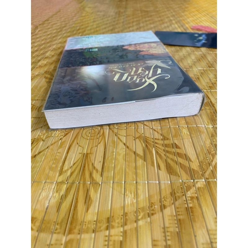 Xuân yến - An Ni Bảo Bối 460204