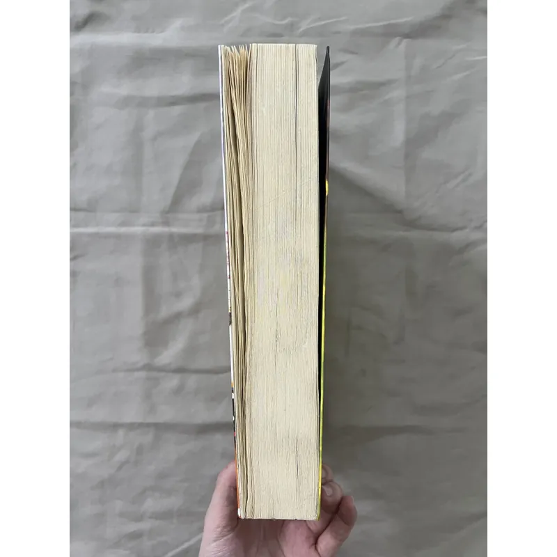 999 BỨC THƯ VIẾT CHO CHÍNH BẠN 596055