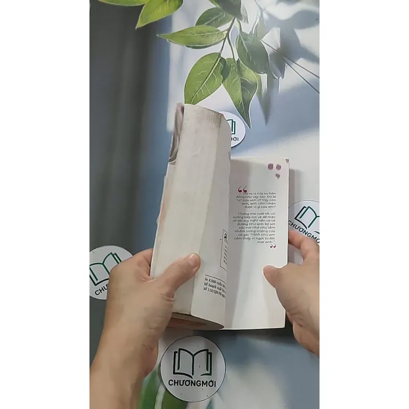 Vị nụ hôn 688654