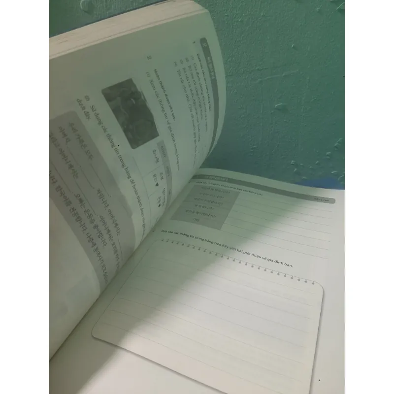 Tiếng Hàn tổng hợp dành cho người Việt Nam, sơ cấp 1  936313