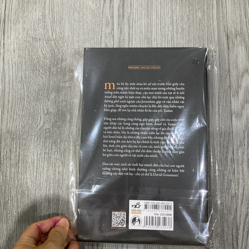 Ai đó chạy cùng chúng ta - David Grossman 1044451