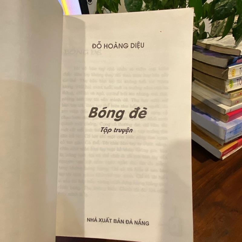 BÓNG ĐÈ - TẬP TRUYỆN CỦA ĐỖ HOÀNG DIỆU (XB 2006) 464322