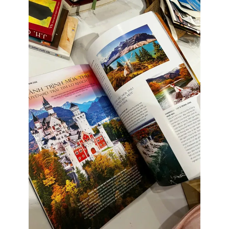 Tạp chí The Holiday ⭐ 706488