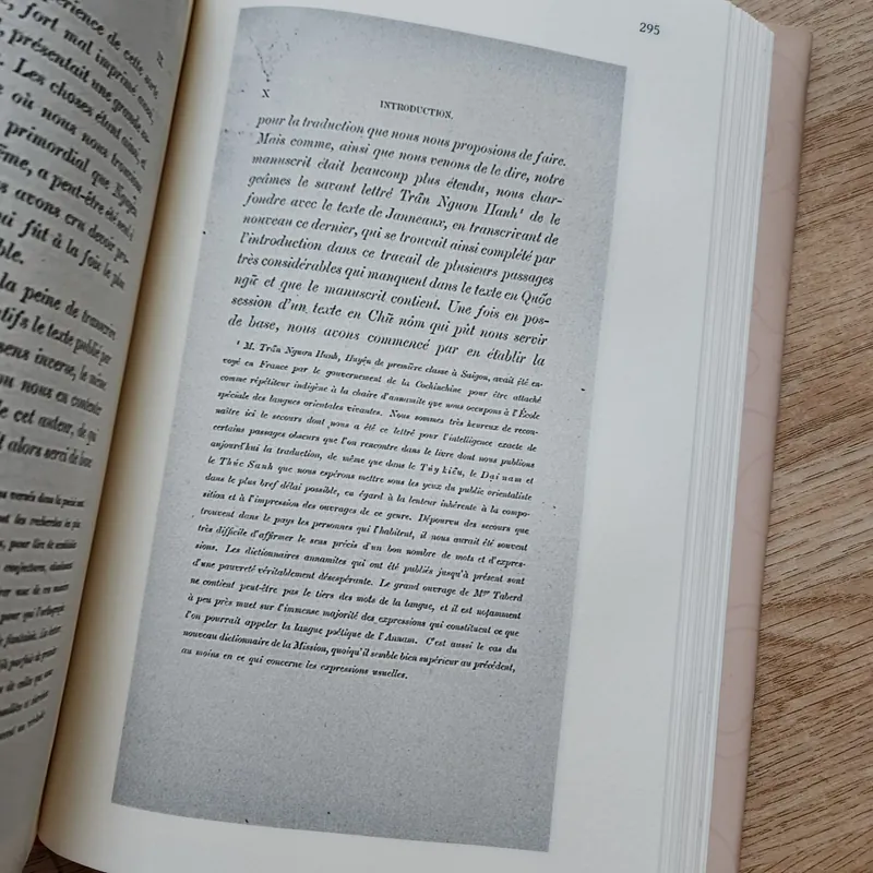 Lục Vân tiên truyện bản nôm chép tay 1876 | nguyễn đình chiểu 724284