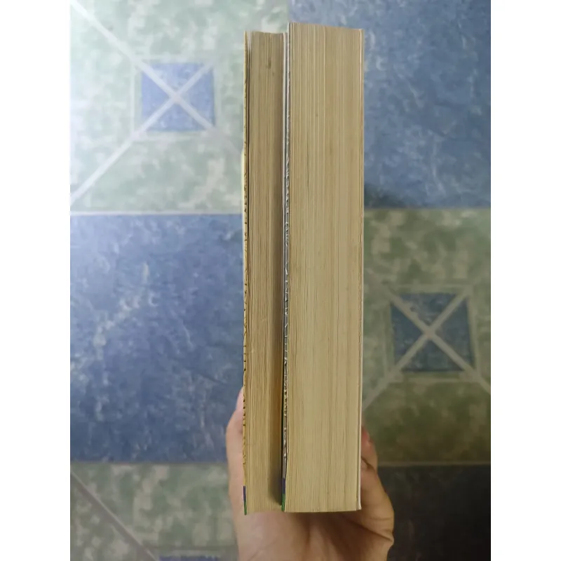 Dăm dài đất nước ( 2 tập) - Trần Quốc Vương 928666