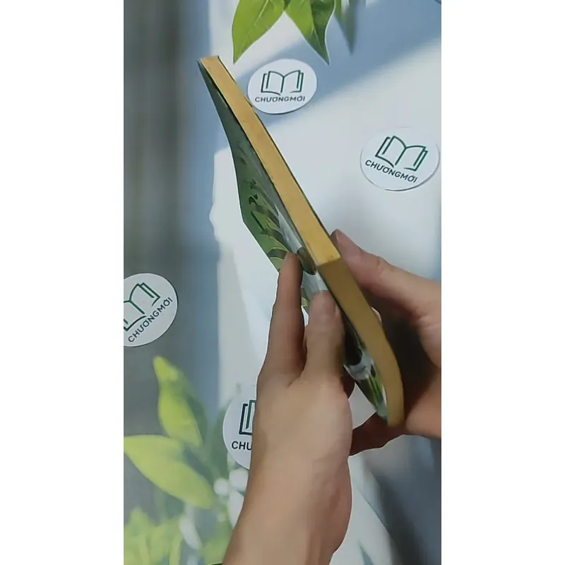 Dế Mèn phiêu lưu ký 698592