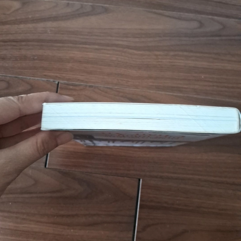 Một mình ở châu âu - phan việt 523574