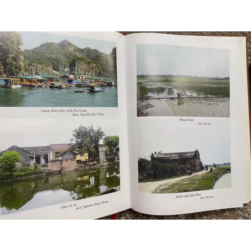Bách khoa thư làng Việt cổ truyền của Bùi Xuân Đính  1003238