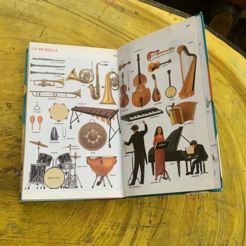 DICTIONNAIRE LE ROBERT  BENJAMIN CP-CE 6.8 ans & JUNIOR 8/11 ans  CE-CM ILLUSSTRE 747358