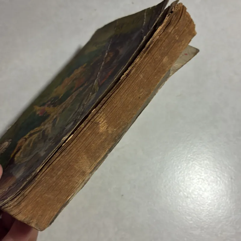 Premier Amour 783173