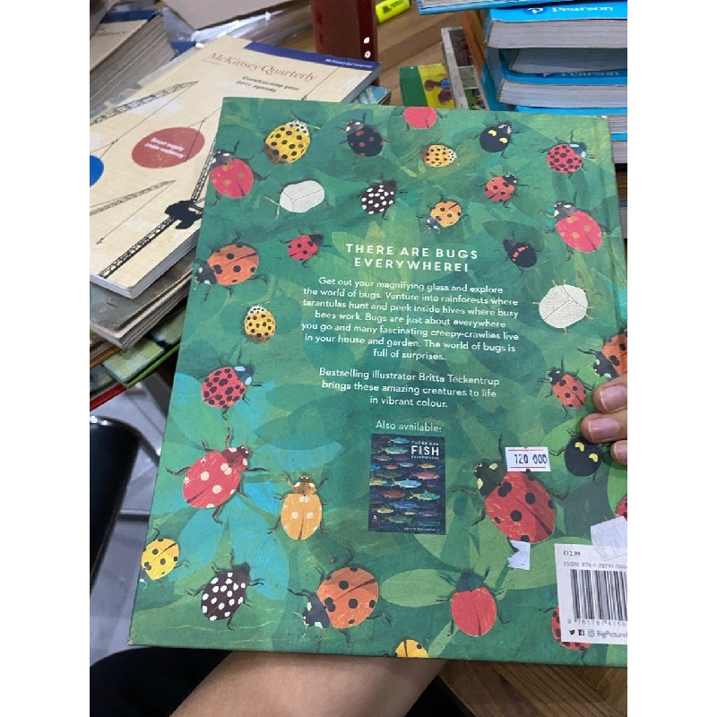 There Are Bugs Everywhere - Britta Teckentrup 550898