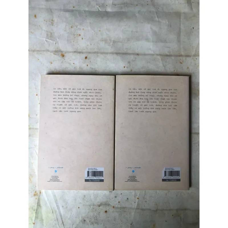 Cuộc Gặp Gỡ Mùa Hè - Takashi Hiraide 763070