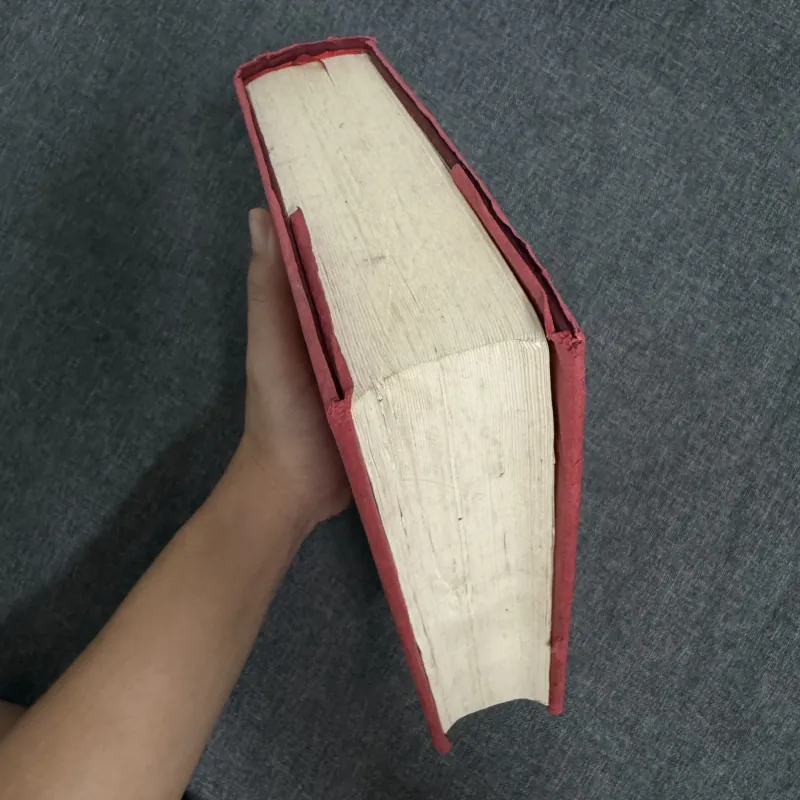 Gã khờ - Fyodor Dostoevsky 753627