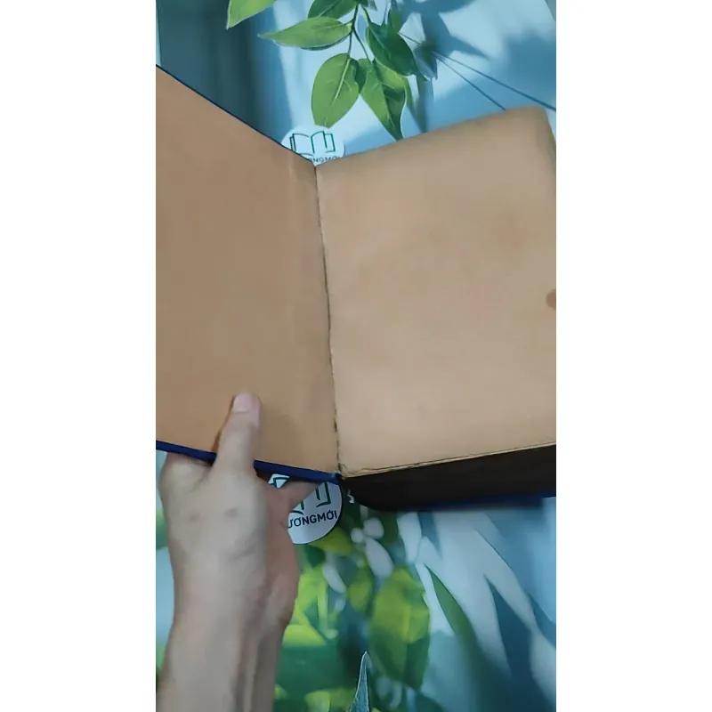 [MIỄN PHÍ BỌC SÁCH] Từ Điển Anh - Việt - Viện Ngôn Ngữ 750747