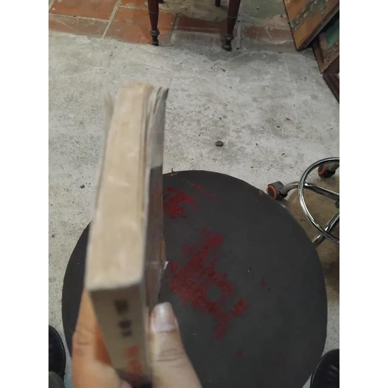 Việt sử diễn âm 1020456