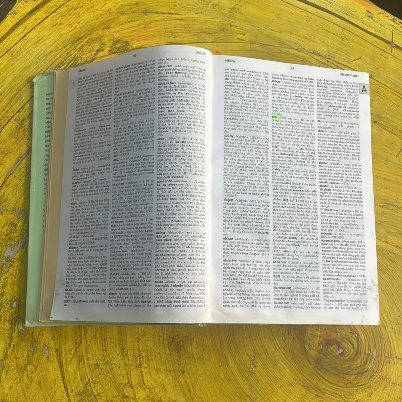 TỪ ĐIỂN ANH - VIỆT ENGLISH - VIETNAMESE DICTIONARY  697198