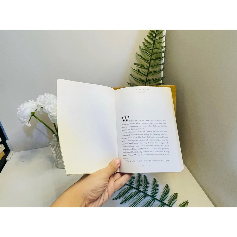 [Sách 2hand từ US] Like new 90% - The Other Side of Blue của Valerie O. Patterson. 478011