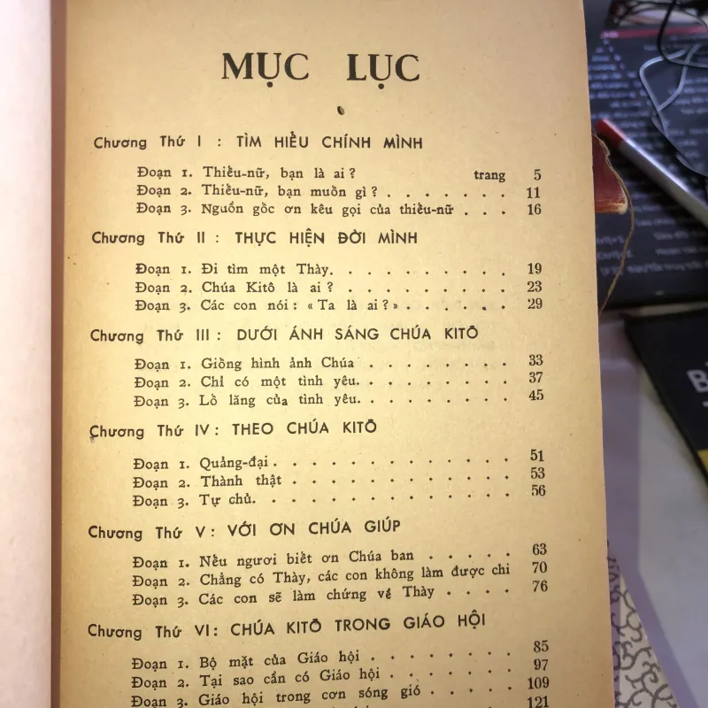 Chúa Kitô lý tưởng của chúng ta - Solange Chicault 1019367