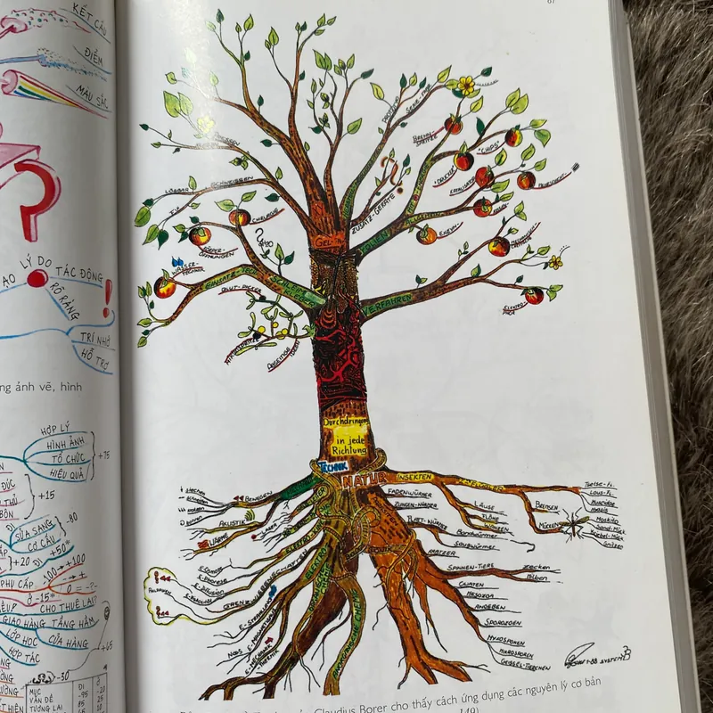 Sơ đồ tư duy- Tony Buzan  603182