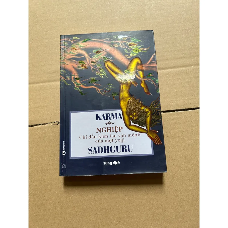 Karma - Nghiệp chỉ dẫn kiến tạo vận mệnh của một yogi 997041