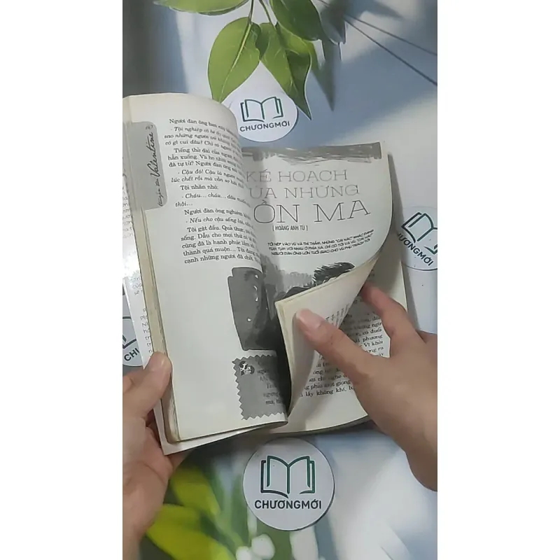 Truyện đôi Valentine 688582