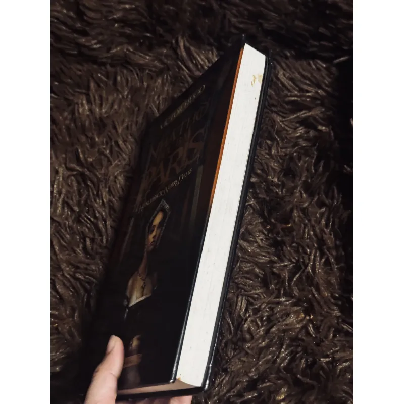 Nhà thờ đức bà Paris (bìa cứng) 934333