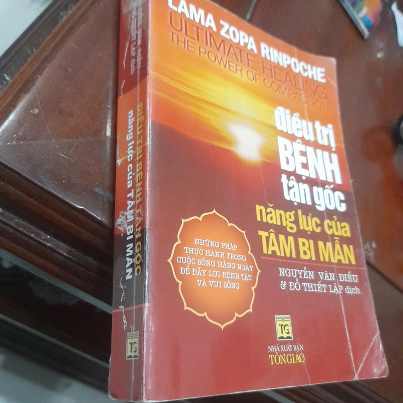 ĐIỀU TRỊ BỆNH TẬN GỐC, năng lực của Tâm Bi Mẫn 497902