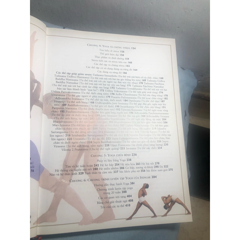 Kỹ thuật và Thực hành Yoga toàn tập - B.K.S. IYENGAR (bìa cứng) 327060