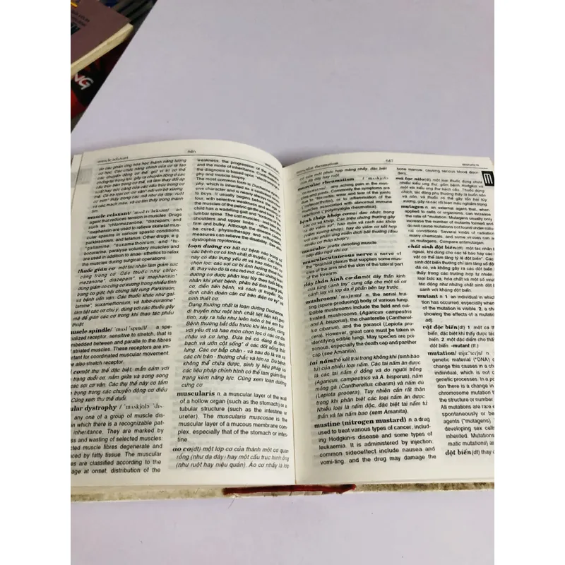 TỪ ĐIỂN Y HỌC ANH - VIỆT  720873
