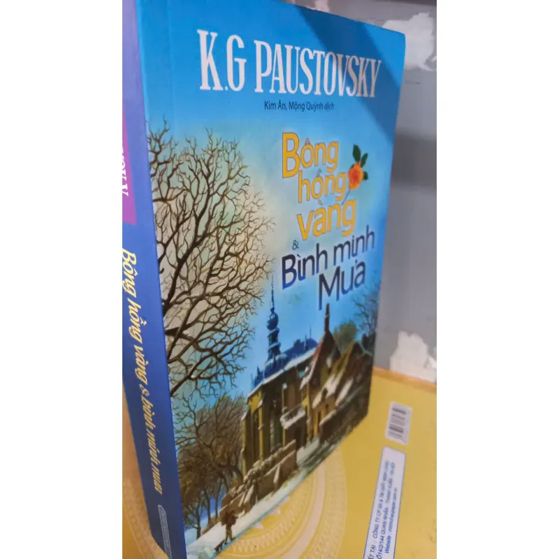 bông hồng vàng và bình minh mưa 999130